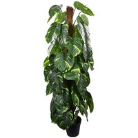 Picture of Artificial alocasia Tree Plant for Home Decor, Green, 1.6mtr