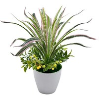 Picture of Artificial Chlorophytum Spider Plant for Home Decor, Green
