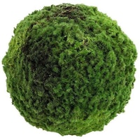 Picture of Yatai Decorative Artificial Moss Grass Ball