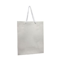 Picture of Paper Gift Bag With Handle - White, Pack of 12pcs