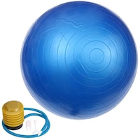 Picture of Garneck Stability Exercise Ball