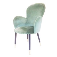 Picture of Jilphar Powdered Coating Gold Tip Arm Chair - Light Green - JP1145