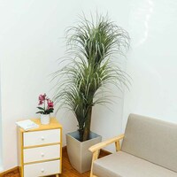 Picture of YATAI Artificial Yucca Plant , 1.7 Meters
