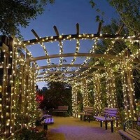 Picture of Huang V8 Holiday Fairy Light, 40 Meter