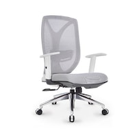 Picture of Neo Fron Office chair Low Back Executive Chair with Arm Rest, Head Rest and Lumbar Support, Grey