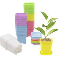 Picture of Hylan Thick Plastic Square Flower Pots, Pack of 10Pcs
