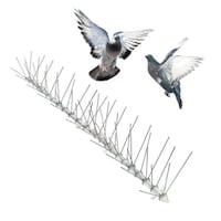 Picture of Bird-X Stainless Steel Bird Spikes - 100 pcs for 1 box