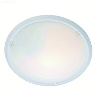 Picture of Round Ceiling Surface Light Fixture, White