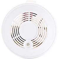 Picture of Electronic Smoke Alarm