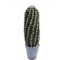 Picture of Artificial Cactus Plant For Office Home Decoration, Green, 1.4mtr
