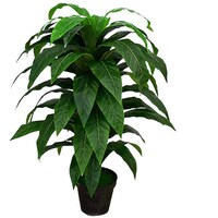 Picture of Artificial Indoor Dragon Fruit Tree for Garden, Green, 1.1mtr