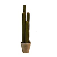 Picture of Artificial Succulent Cactus Plants with Plastic Pot, 1.7 Meters