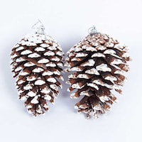 Picture of Pine Cones with Snow for Decoration, Brown and White, Pack of 2 Pcs
