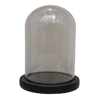 Picture of Showcase Dome with Glass Lid without Flower