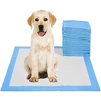 Picture of Superfast Disposable Absorbent Leak-Proof Pee Pads, Medium, 50Pcs - Blue/White