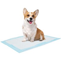 Picture of Mumoo Bear Ultra Absorbent & Leak-Proof Disposable Dog Pee Pads, 100Pcs