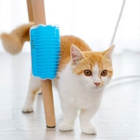 Picture of Cat Hair Removal Brush Comb, Blue
