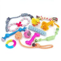 Picture of Mumoo Bear Dog Toys Gift Set, 12Pcs - Multicolour
