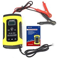 Picture of Powered Pulse Repair Car Battery Lead Acid Storage Charger