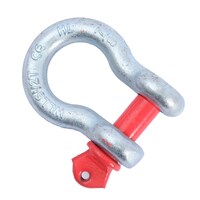 Picture of It-Dasong Commercial D-Shackle Stainless Steel Hook, Silver, 2 Tons
