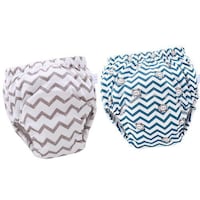 Picture of Baby World Reusable Underwear Potty Training Pants, Set of 2pcs