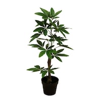 Picture of Yatai Decorative Artificial Money Plant, Green