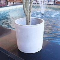 Picture of Yatai Concrete Circular Creative Plant and Flower Pot