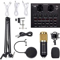 Picture of Blueland Microphone Set For Computer Live Sound