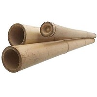 Picture of Lingwei Bamboo Plant Support Stake Stick, 60cm