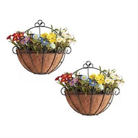 Picture of Lingwei Round Hanging Basket with Coco Liner, Pack of 2Pcs