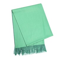 Picture of Areej Plain Design Pashmina Scarfs For Womens, A7579 - Light Green