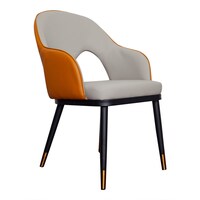 Picture of Superior Modern Design Dining Chair, XT112