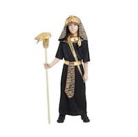 Picture of Kids Egyptian Pharaoh Costume Halloween Party Deluxe Ramses King Of Egypt Boys Costume
