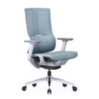 Picture of Neo Front Modern Ergonomic Mesh Office Low Back Desk Chair