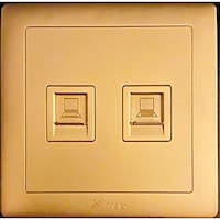 Picture of V-Max Matte Finish Double Data Socket, Golden
