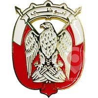 Picture of Direct 2 U Abu Dhabi Logo Metal Car Emblem Badge With Soft Enamel