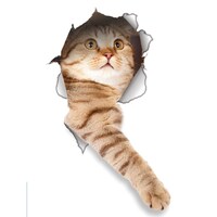Picture of Organized Home Global Decals 3D Cat Paw Sticker