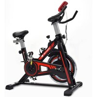 Picture of Skyland Spin Bike For Home Cardio & Strength Training Workouts, EM-1561