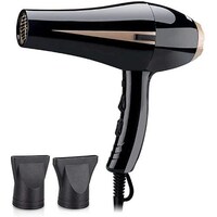 Picture of Yiqifei Premium Professional Blow Dryer - Black