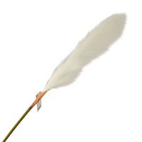 Picture of Wishes Soft Artificial Decorative Plume
