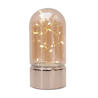 Picture of Velvet Decorative Glass Dome Lamp with String Light