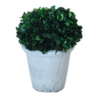 Picture of Elegant Natural Artificial Tree With Pot, B026 - Green & Grey