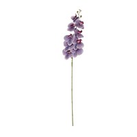 Picture of NAT Artificial Orchid Flower Stem Home Decoration, Design 44