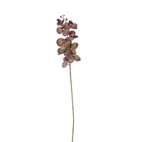 Picture of NAT Artificial Orchid Flower Stem Home Decoration, Design 37